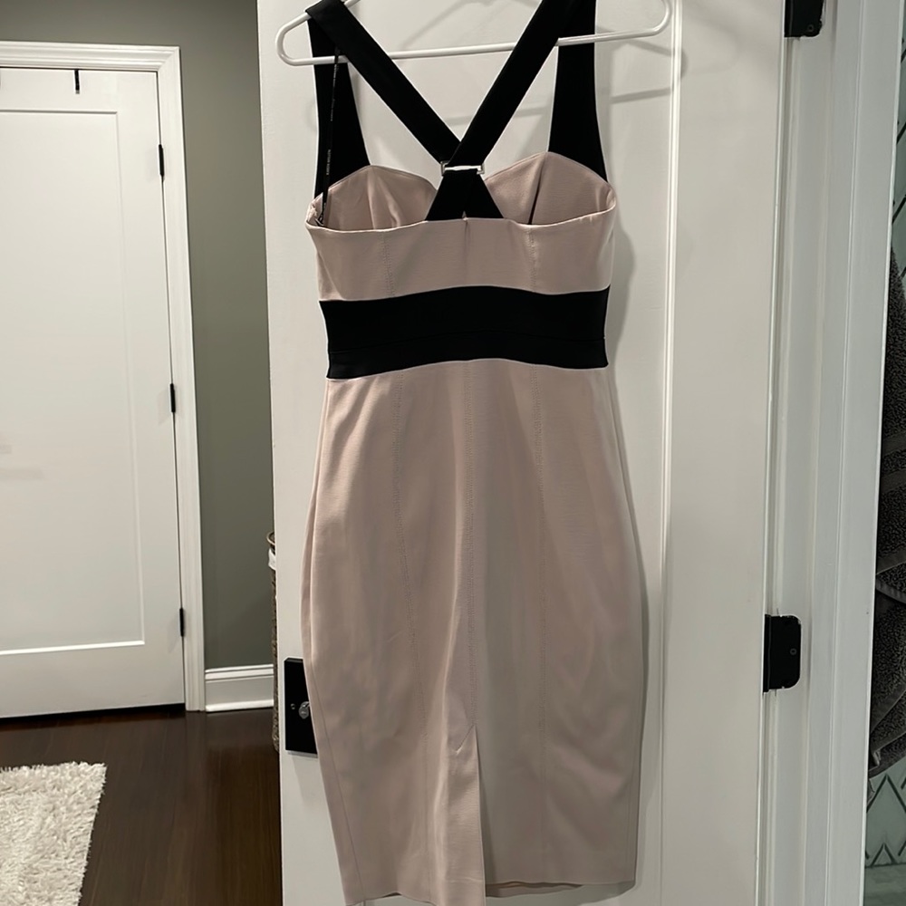 fitted, pale pink Karen Millen dress